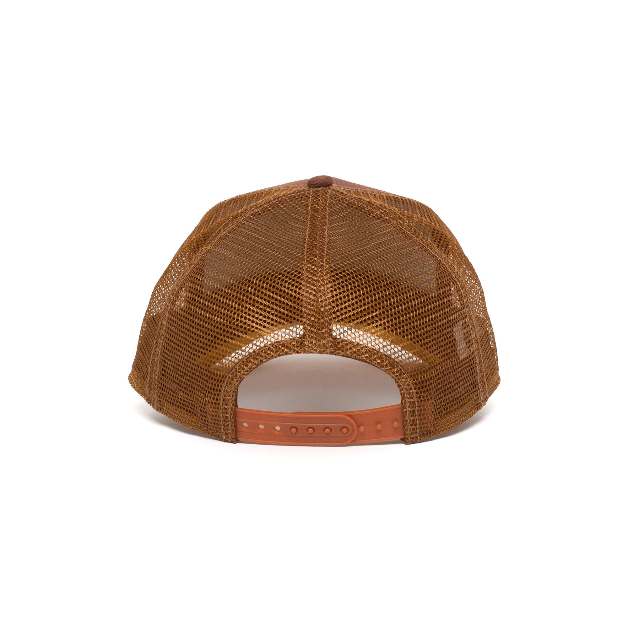 Goorin Bros. bad bad ass cotton baseball cap Brown back view