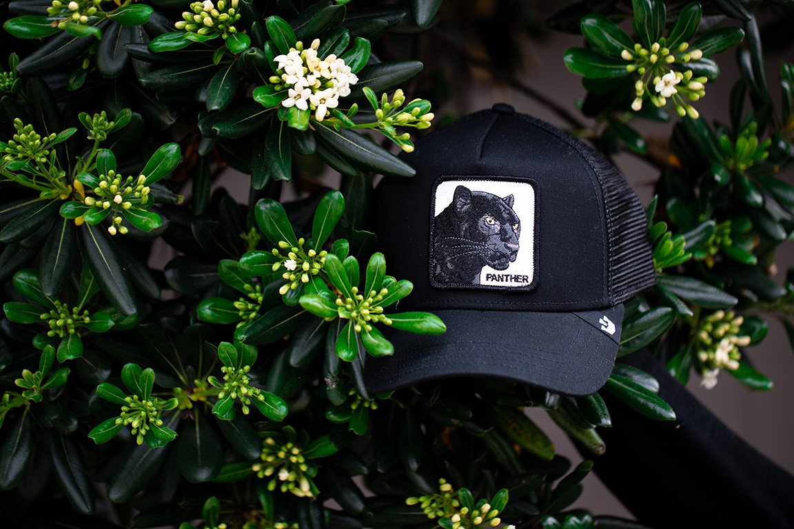Goorin Bros. black panther cotton 5 panel trucker baseball cap Black Lifestyle Womens