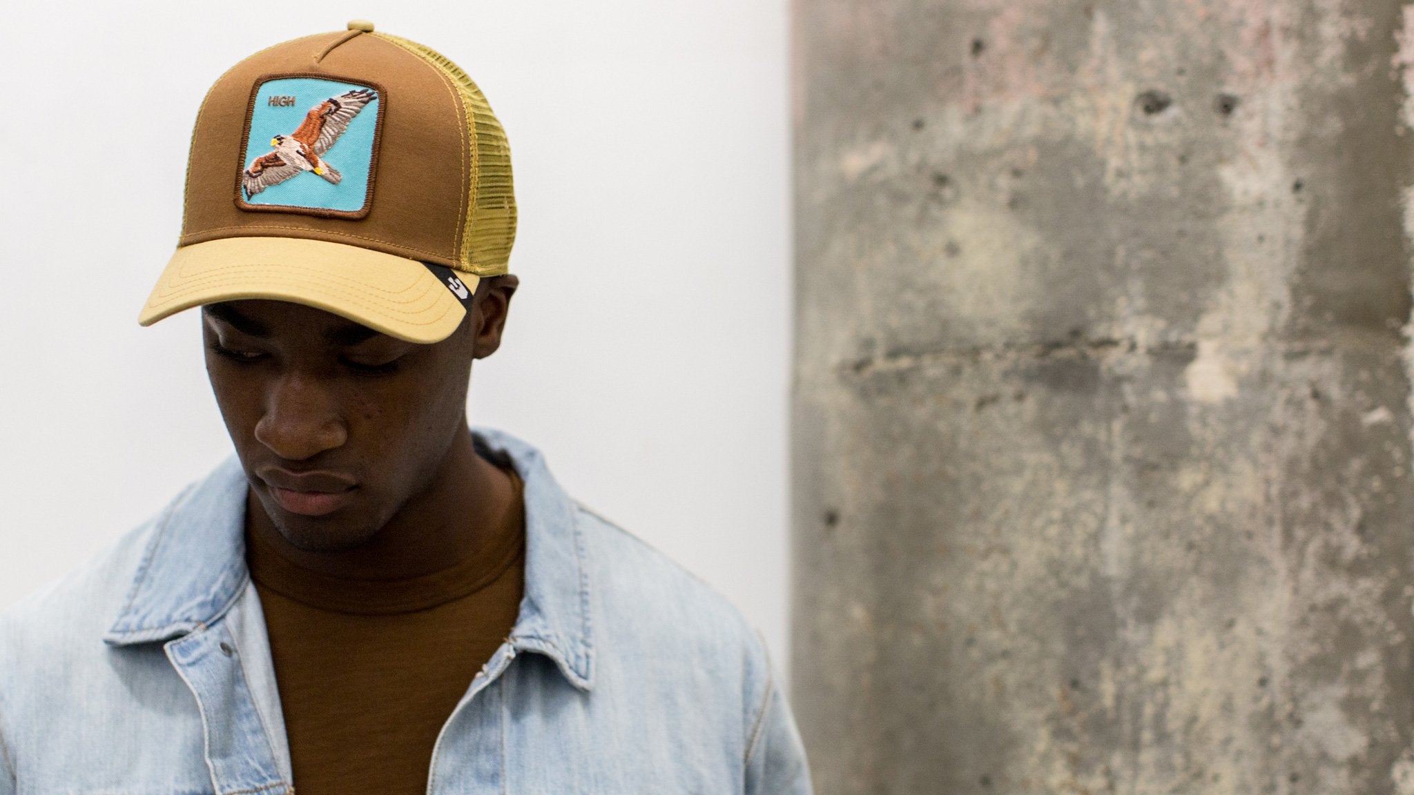 Goorin Bros. high cotton 5 panel baseball cap Brown hero shot on male model