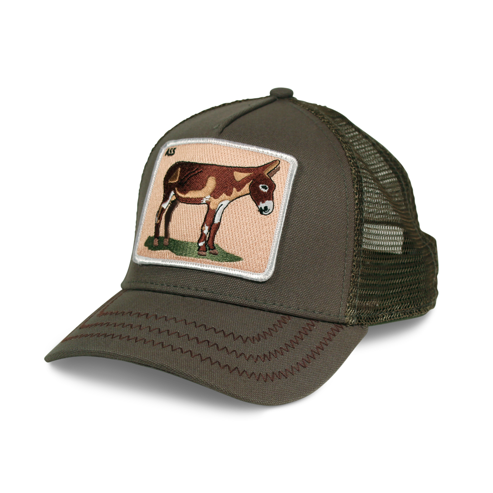 Goorin Bros. donkey ass cotton trucker baseball cap Back label Olive left side view