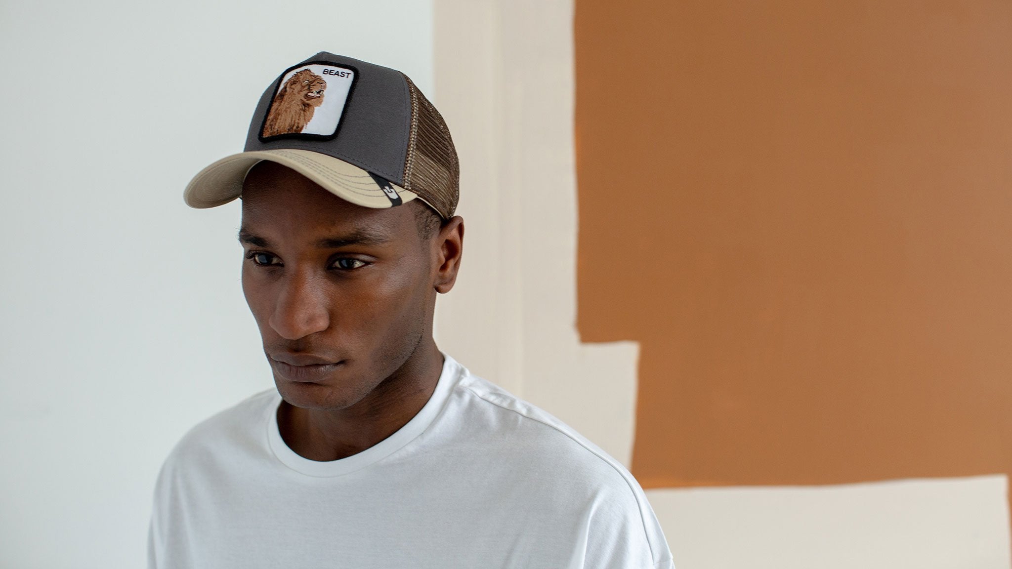 Goorin Bros. beast affair cotton 5 panel baseball cap Grey hero shot on male model