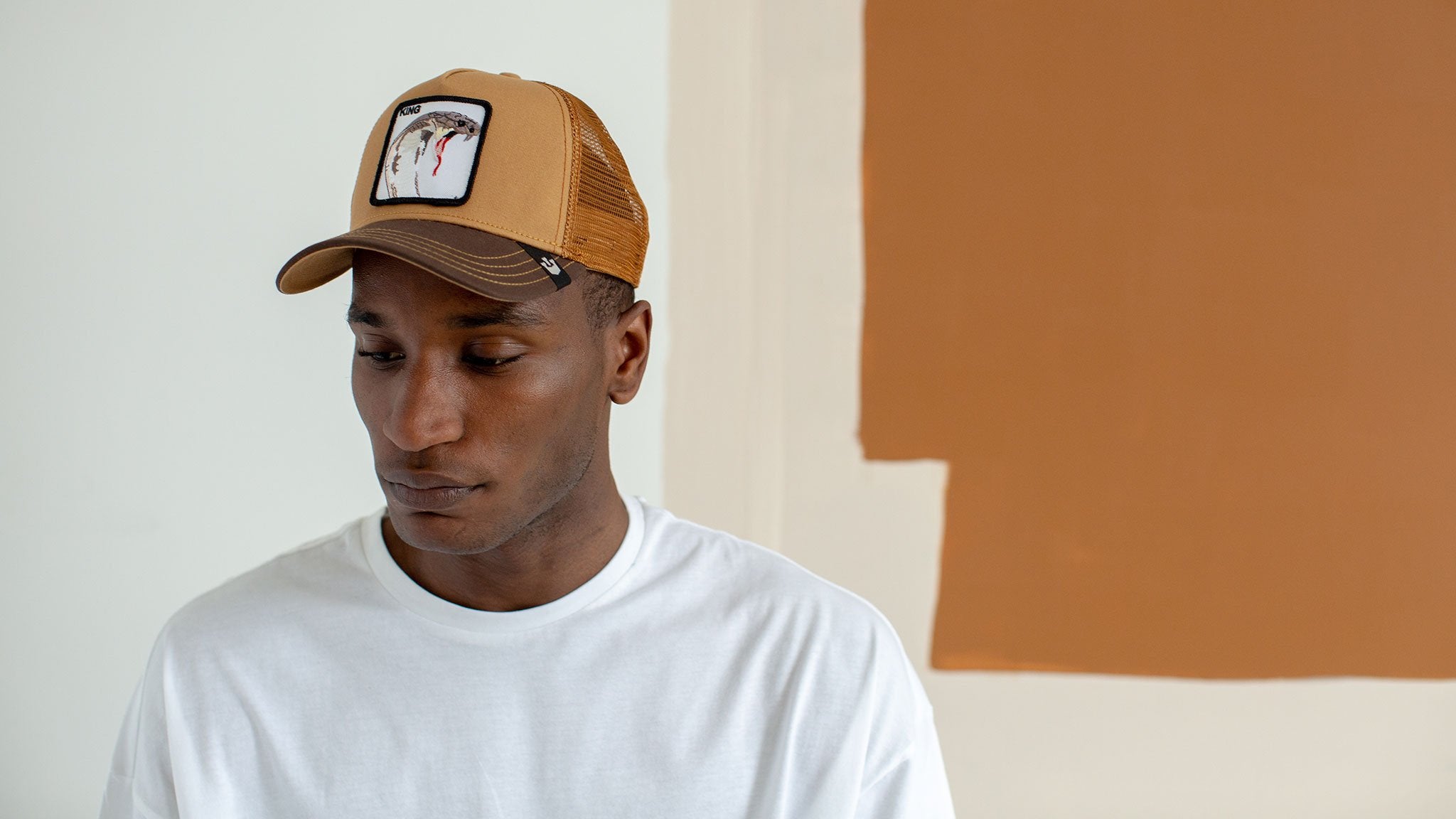 Goorin Bros. biter cotton 5 panel baseball cap Brown hero shot on male model