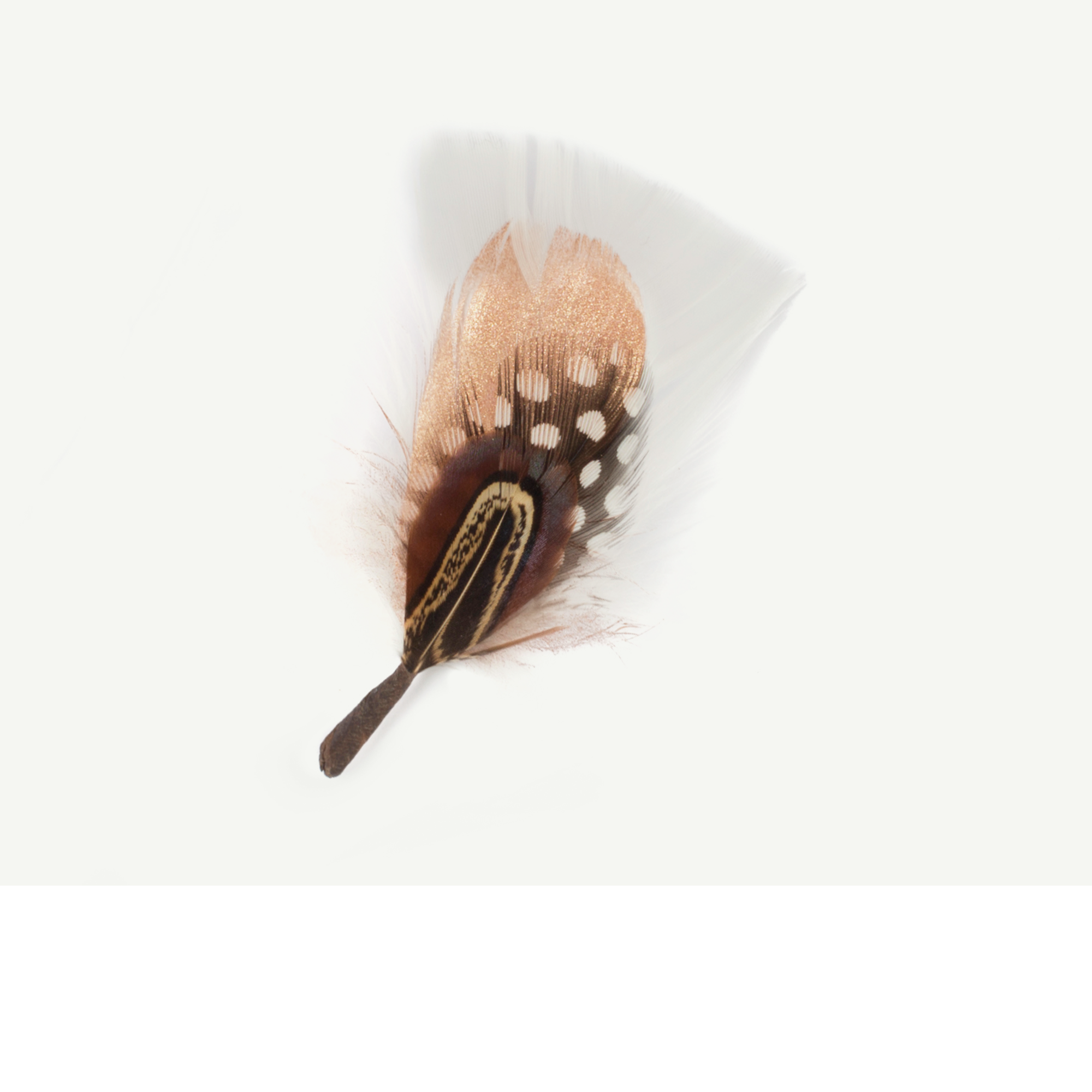 Goorin Bros. Glitz & Glam White Feather front view