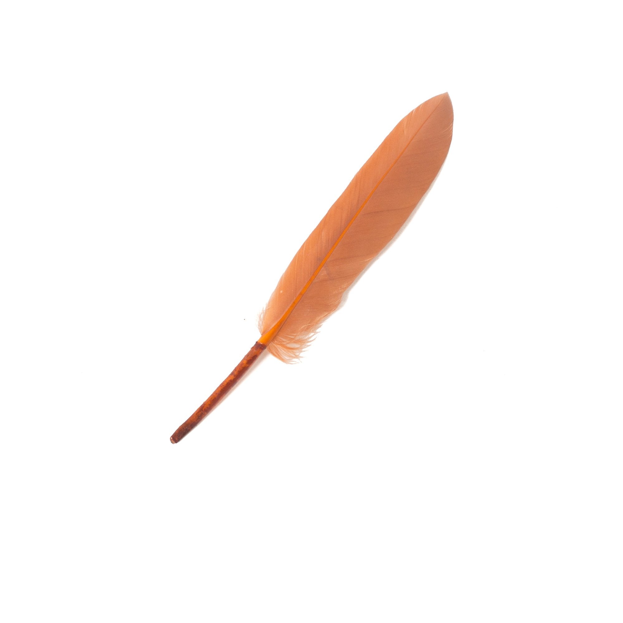 Goorin Bros. jet feather Orange front view