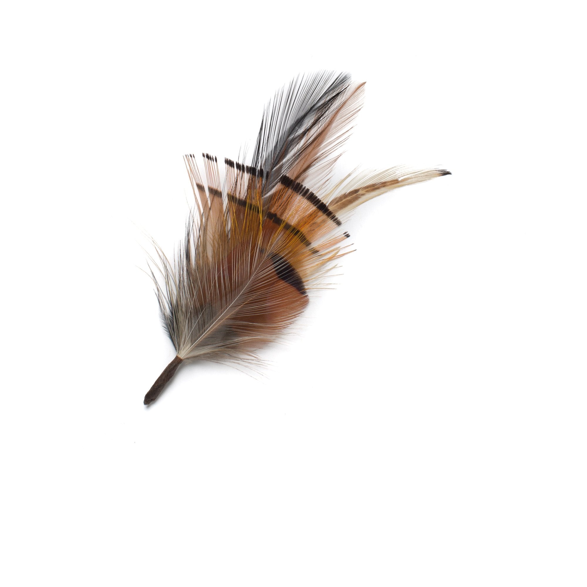 Goorin Bros. blinky feather Brown front view