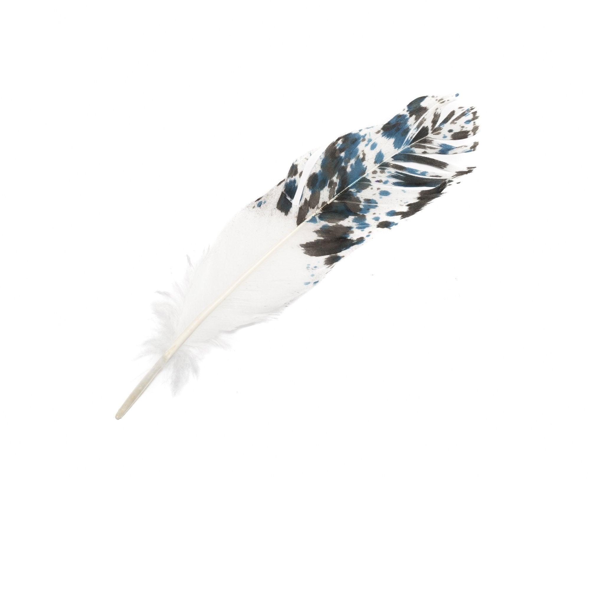 Goorin Bros. jade feather Blue front view