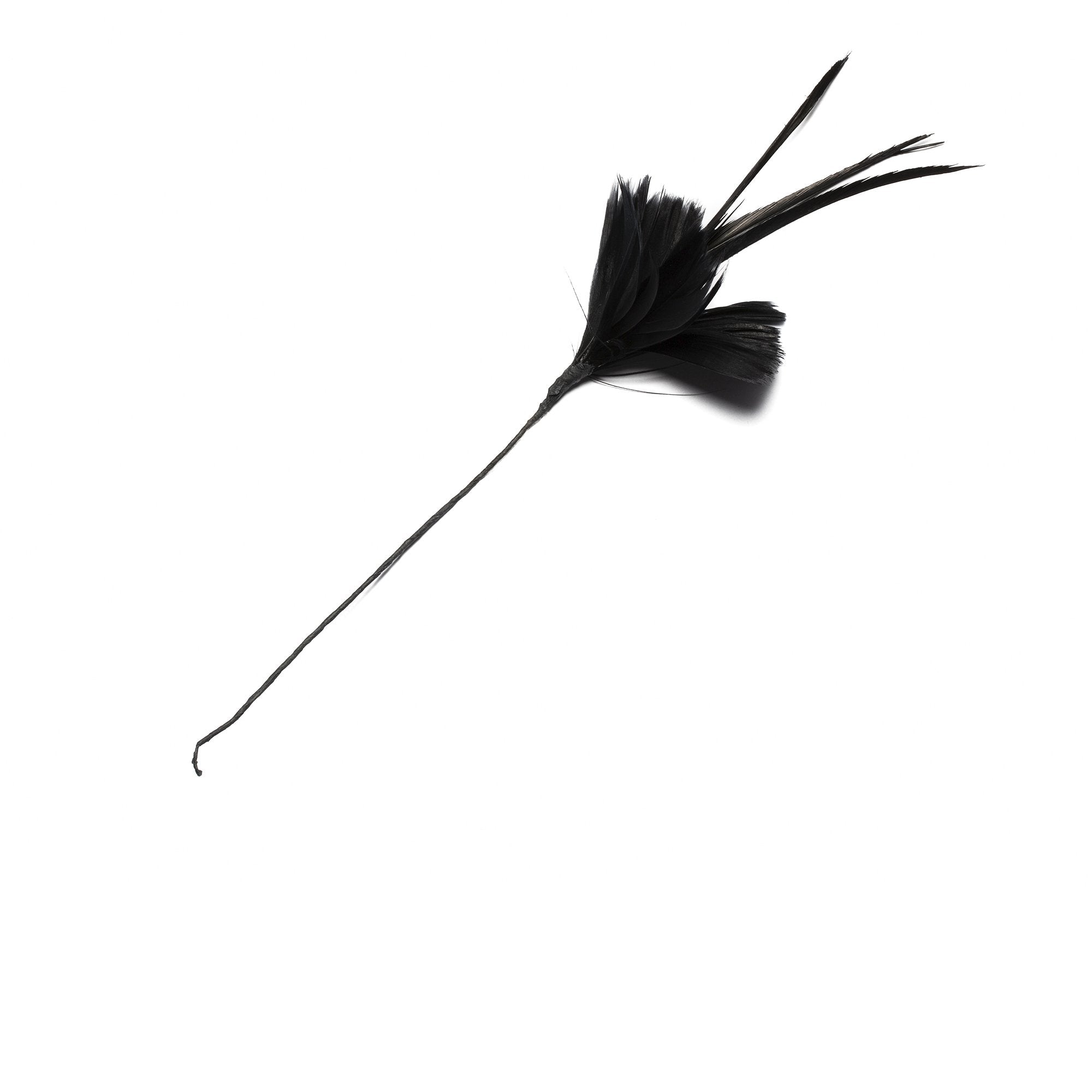 Goorin Bros. feather flower feather Black front view