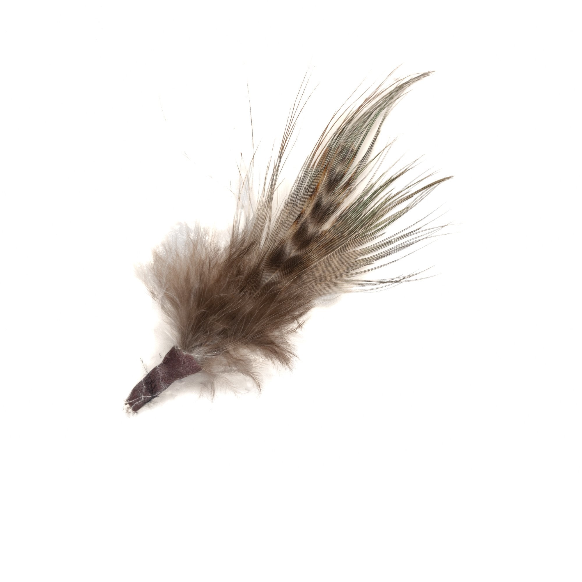 Goorin Bros. sheba feather Brown front view