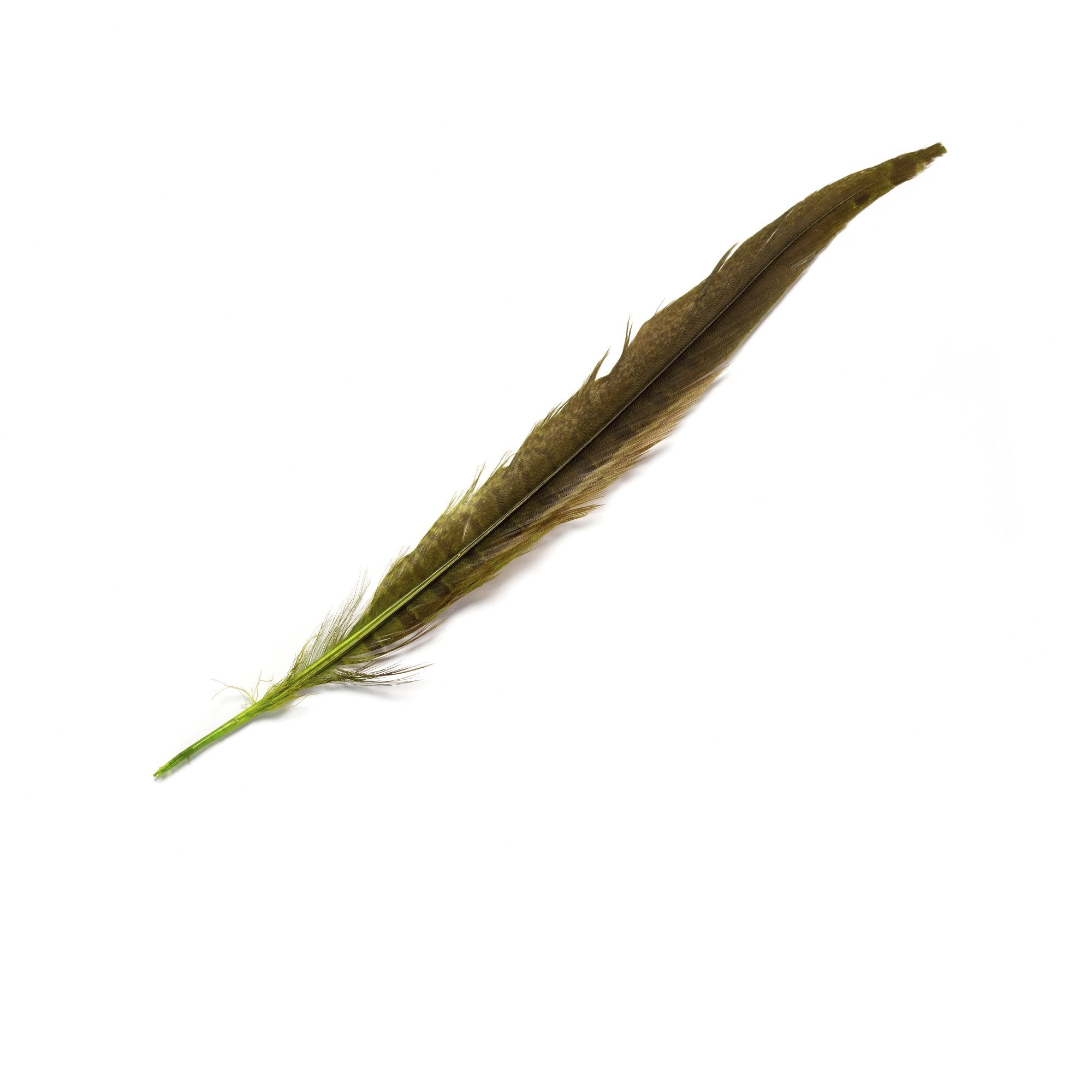 Goorin Bros. chartruese slushie feather Green front view