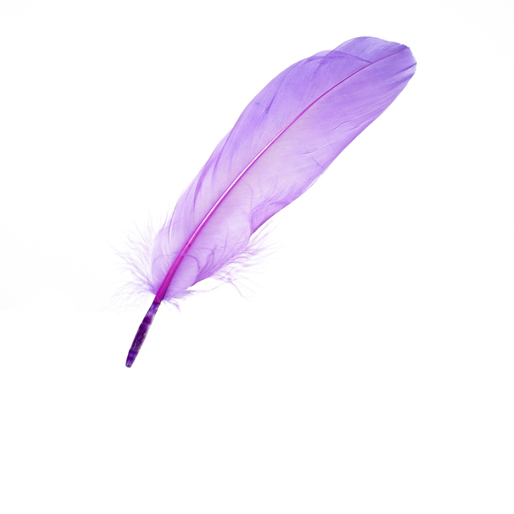 Goorin Bros. purple reign feather Purple front view