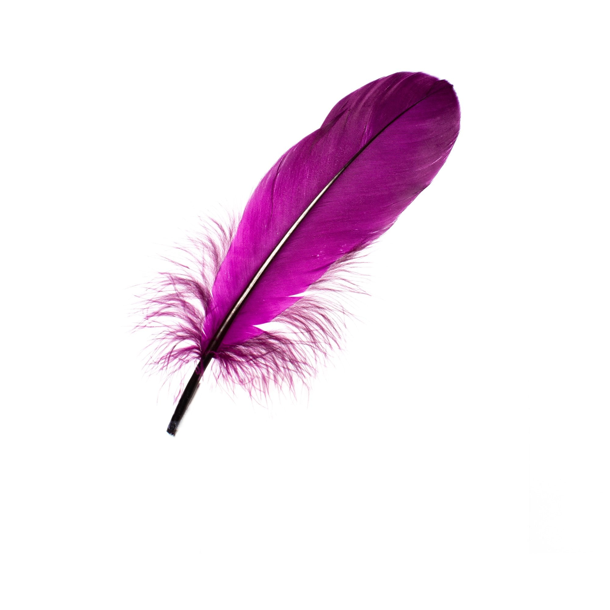 Goorin Bros. purple reign feather Purple left side view