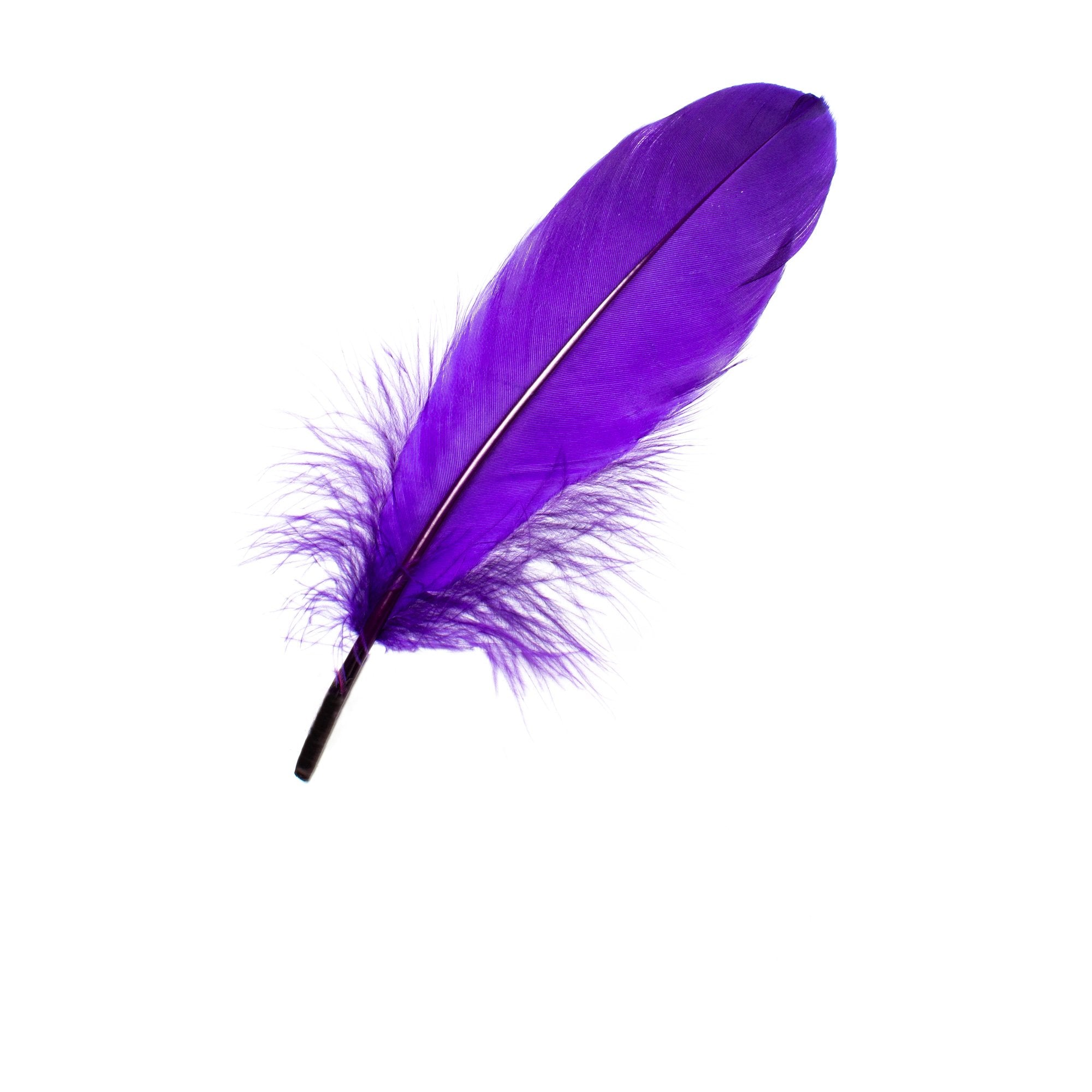 Goorin Bros. purple reign feather Purple side view