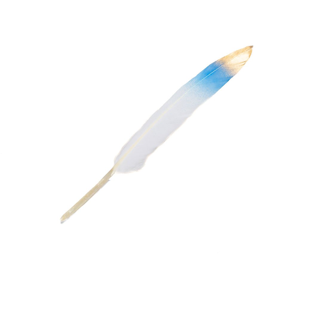 Goorin Bros. larry taz feather Blue front view