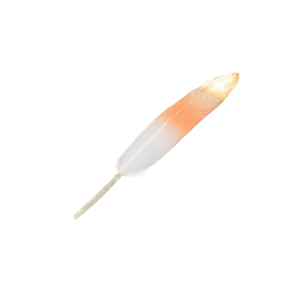 Goorin Bros. larry taz feather Orange front view