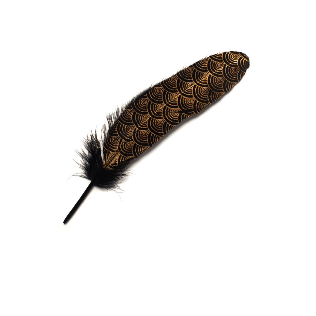 Goorin Bros. sullivan feather Black front view