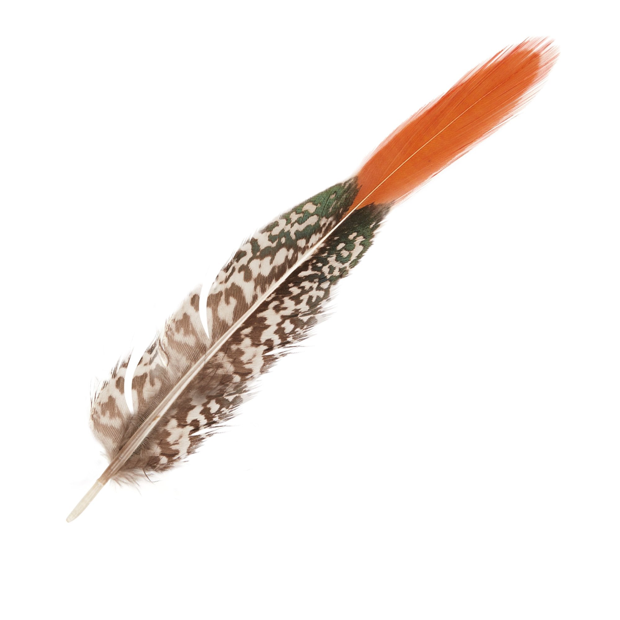 Goorin Bros. lady amherst feather White front view