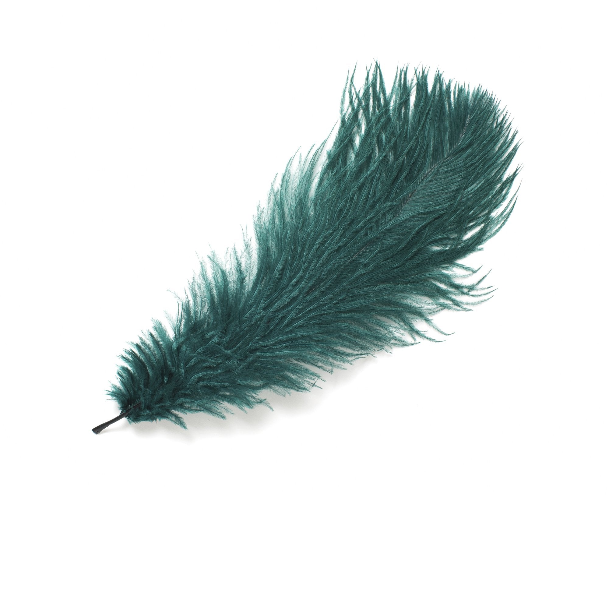 Goorin Bros. ossie feather Teal front view