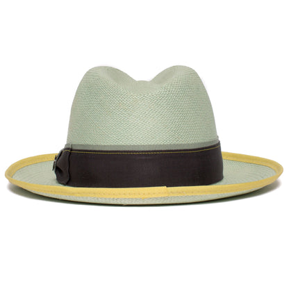 Goorin Bros. hartman wide brim toquilla straw fedora Sky back view