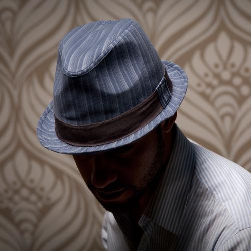 Goorin Bros. woody herman cotton flip up fedora Blue  mens styling