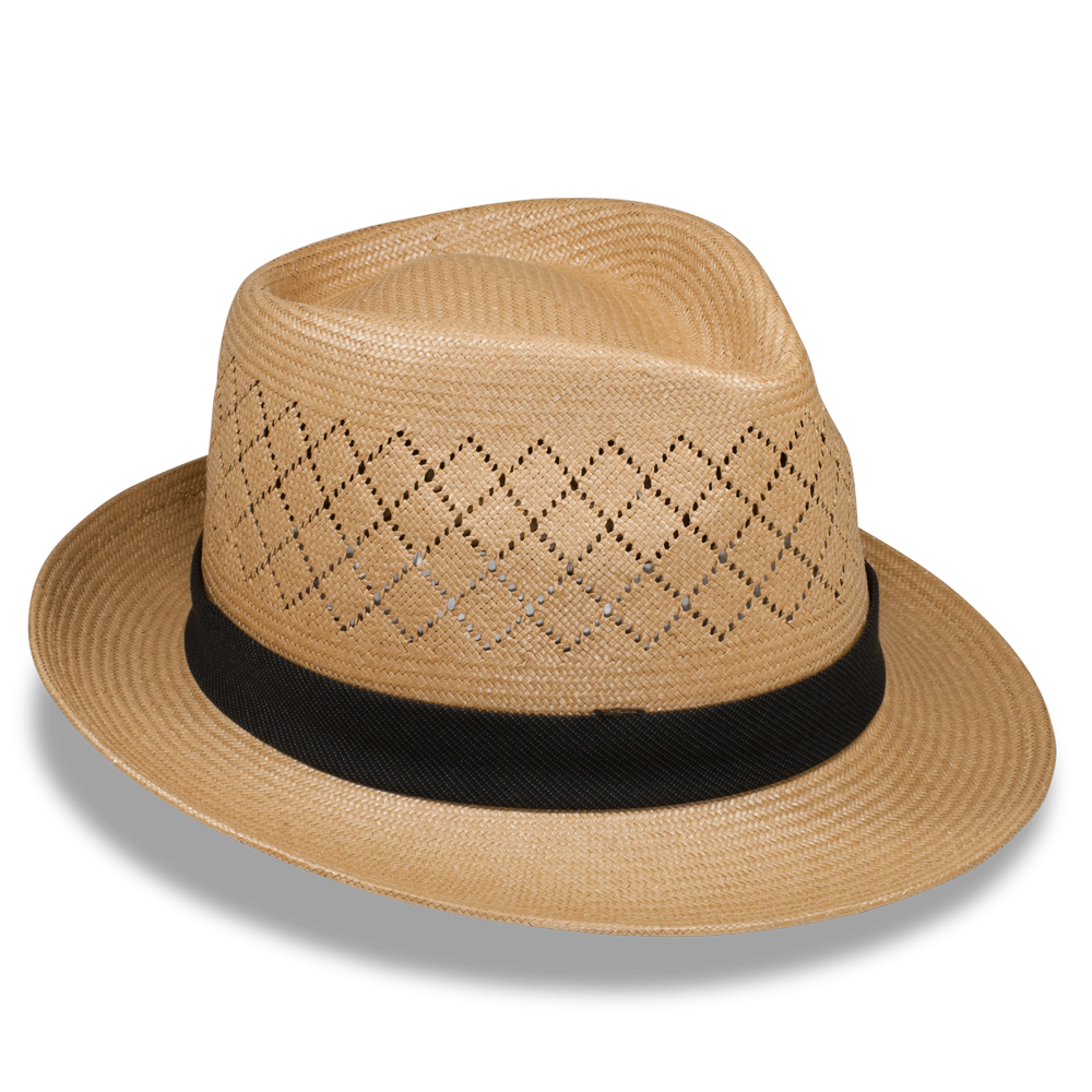 Goorin Bros. Emile Tan fedora right side view