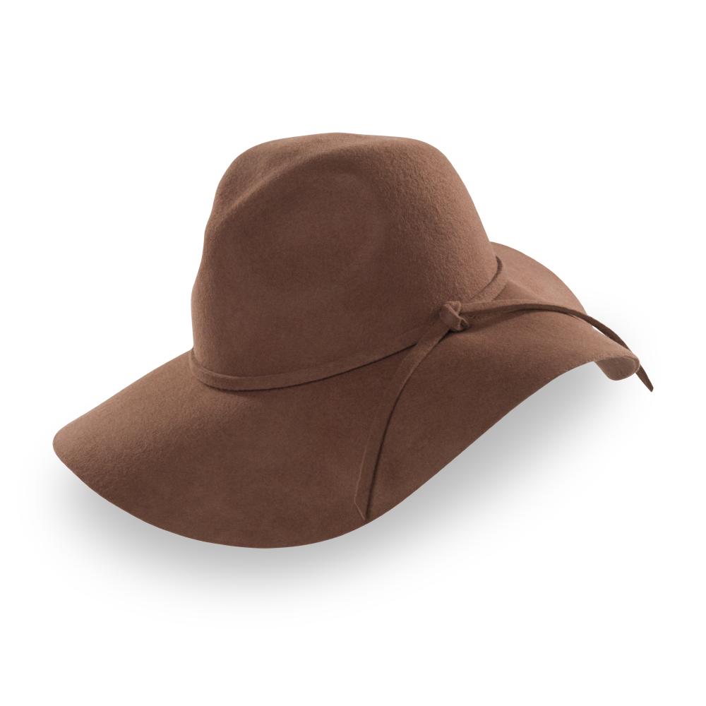 Goorin Bros. Ms. Danke Brown fedora left side view