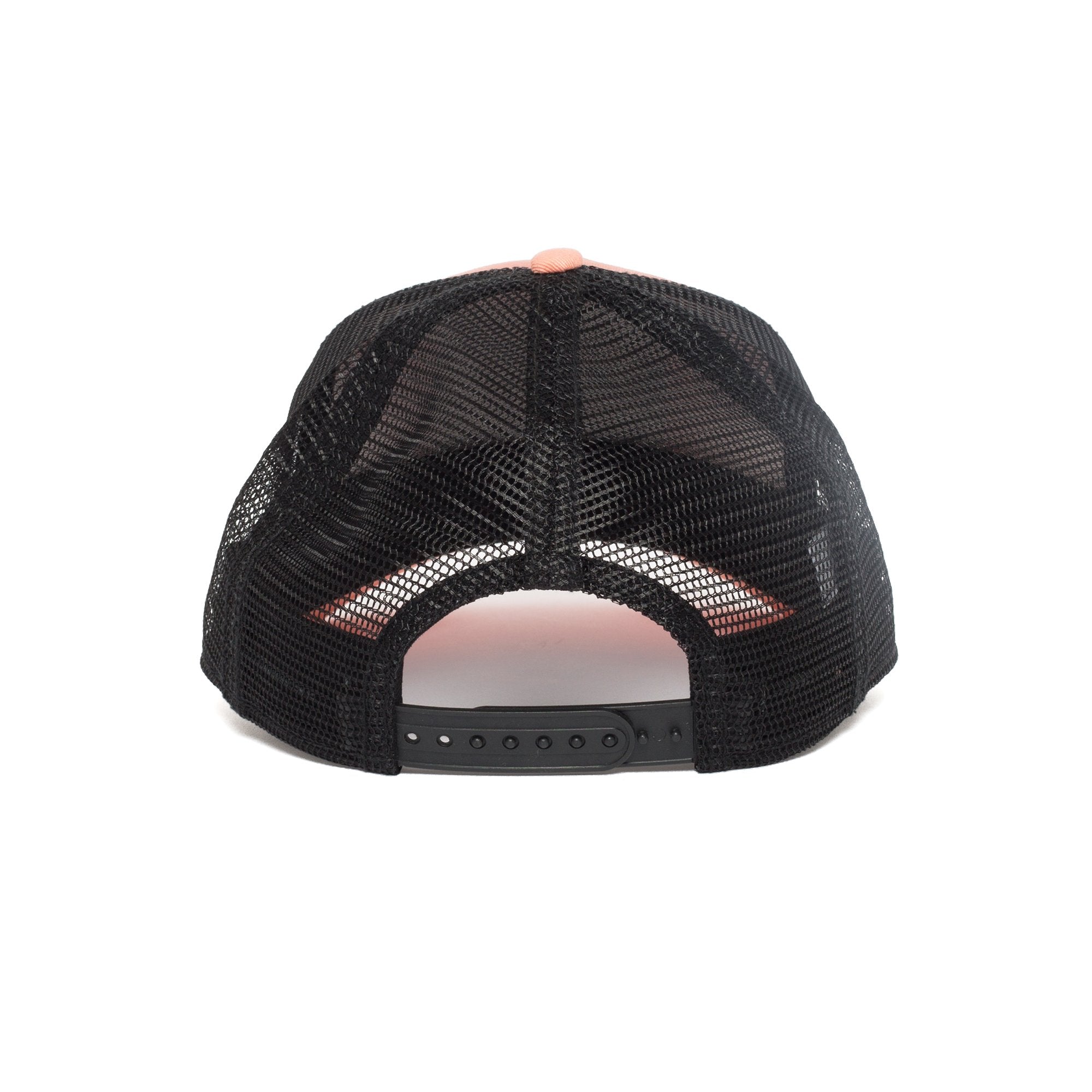 Goorin Bros. cougar town cotton baseball cap Coral back view