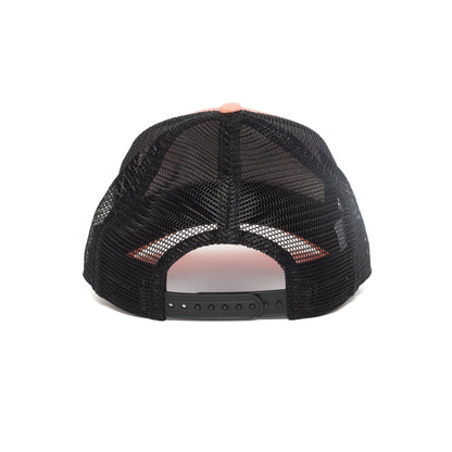 Goorin Bros. cougar town cotton baseball cap Coral back view