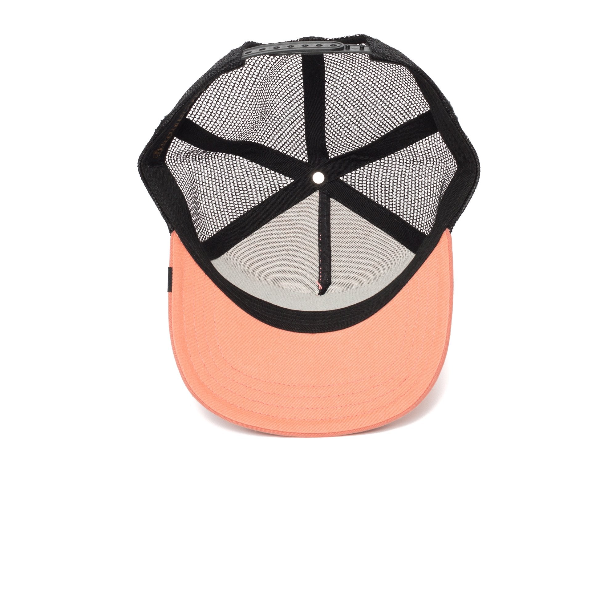 Goorin Bros. cougar town cotton baseball cap Coral under view