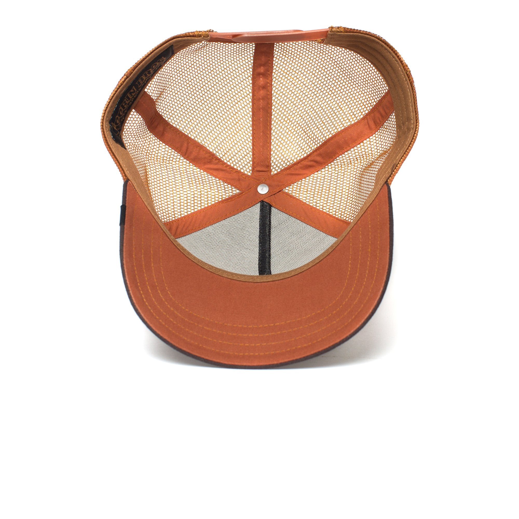 Goorin Bros. bear hands baseball cap Brown under view