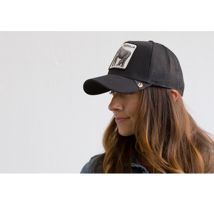 Goorin Bros. King of the Jungle Black baseball womens styling