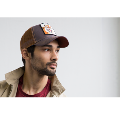 Goorin Bros. Eye of the Tiger Brown baseball mens styling