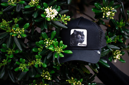 Goorin Bros. black panther cotton 5 panel trucker baseball cap Black Lifestyle Mens