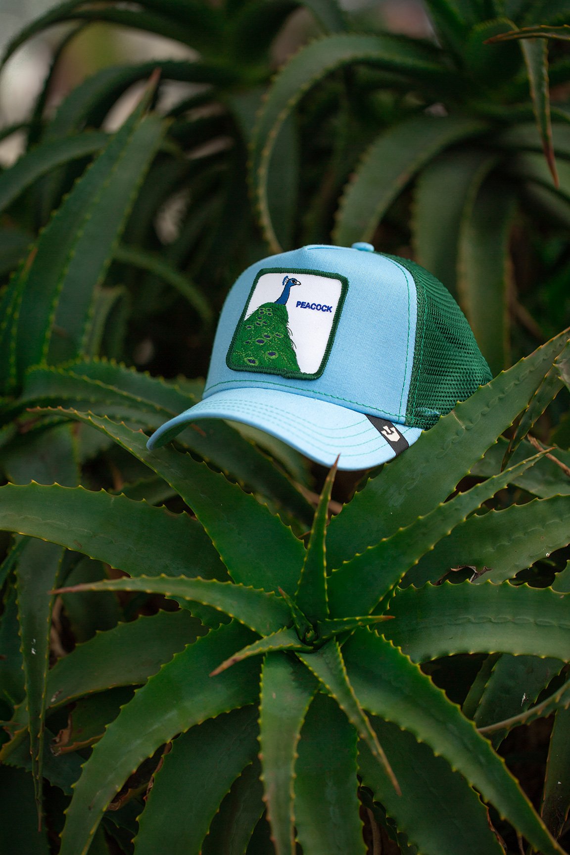 Goorin Bros. hey mister cotton 5 panel trucker baseball cap Blue Lifestyle Mens