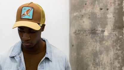Goorin Bros. high cotton 5 panel baseball cap Brown  hero shot on male model