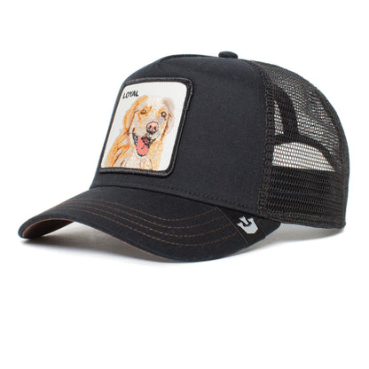 The Loyal Dog
