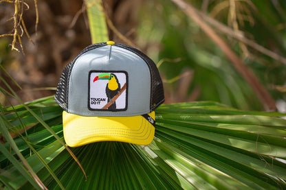 Goorin Bros. iggy narnar cotton baseball cap Grey Lifestyle Mens