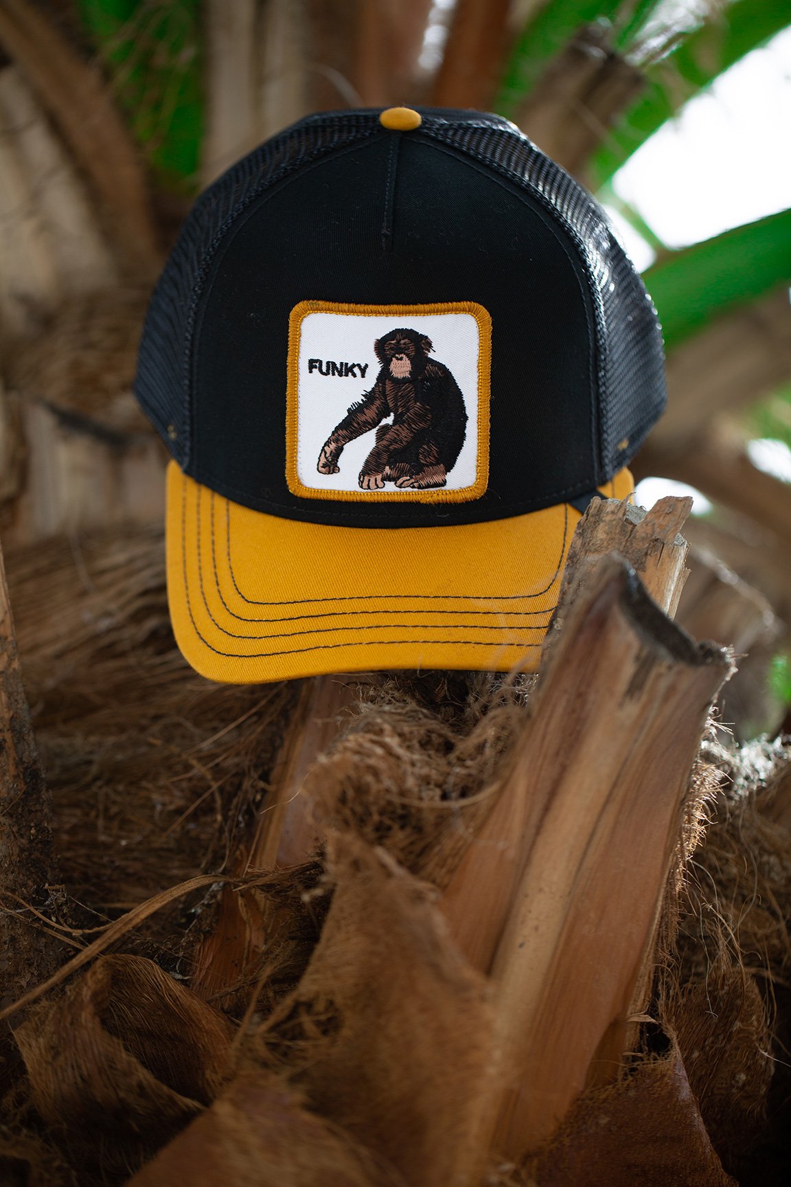 Goorin Bros. banana shake cotton baseball cap Black Lifestyle Mens