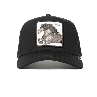 The Wild Stallion Longer Name