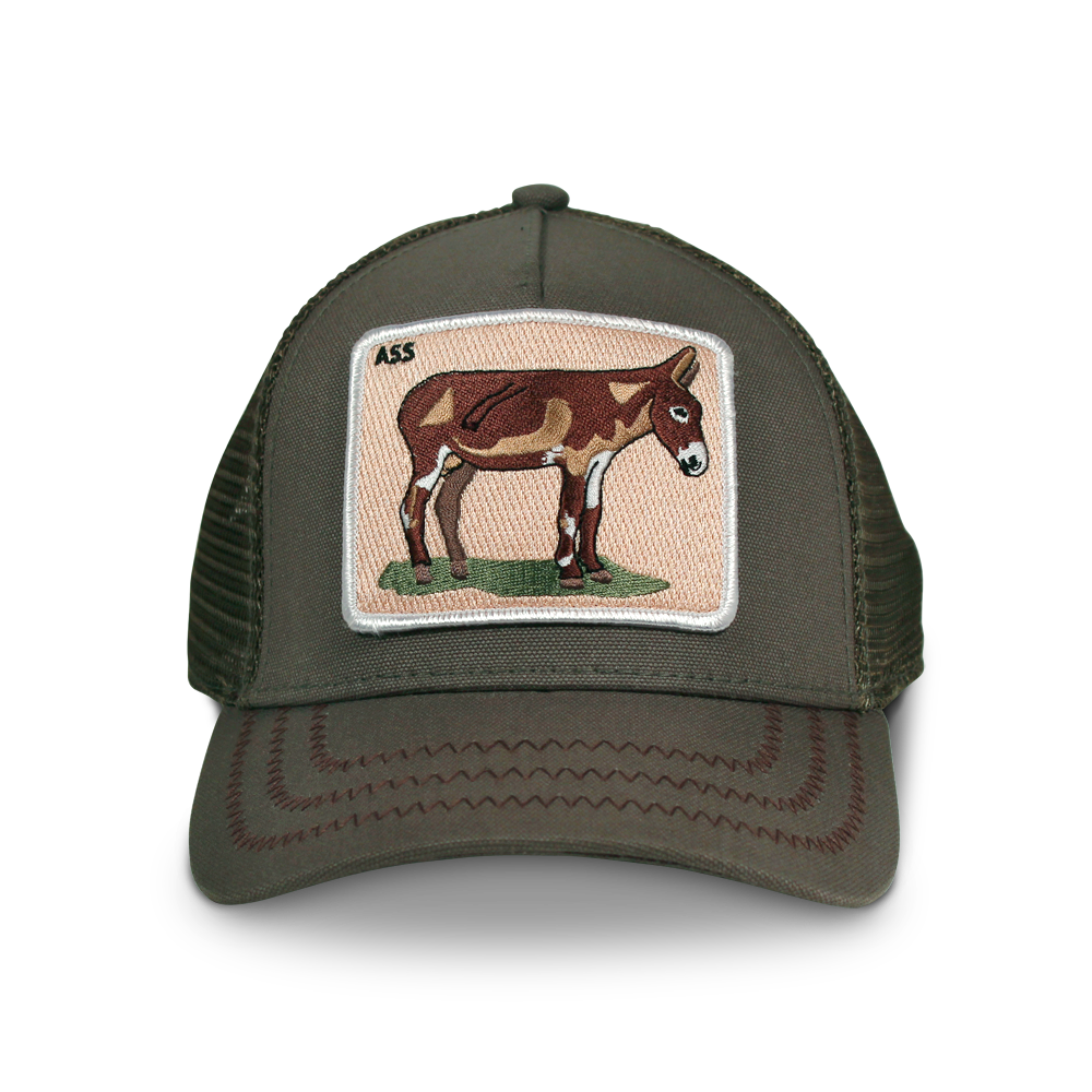 Goorin Bros. donkey ass cotton trucker baseball cap Back label Olive front view