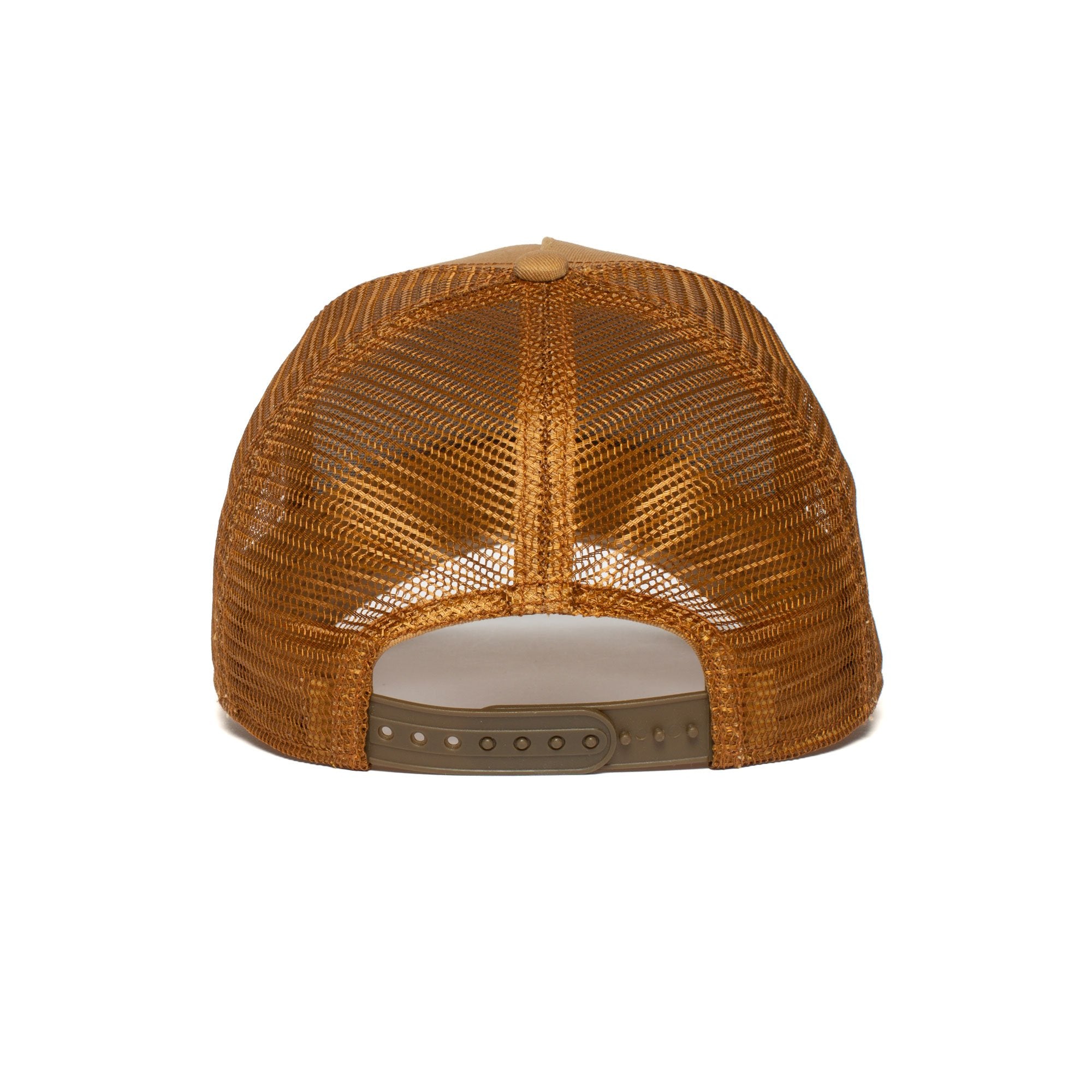 Goorin Bros. biter cotton 5 panel baseball cap Brown back view
