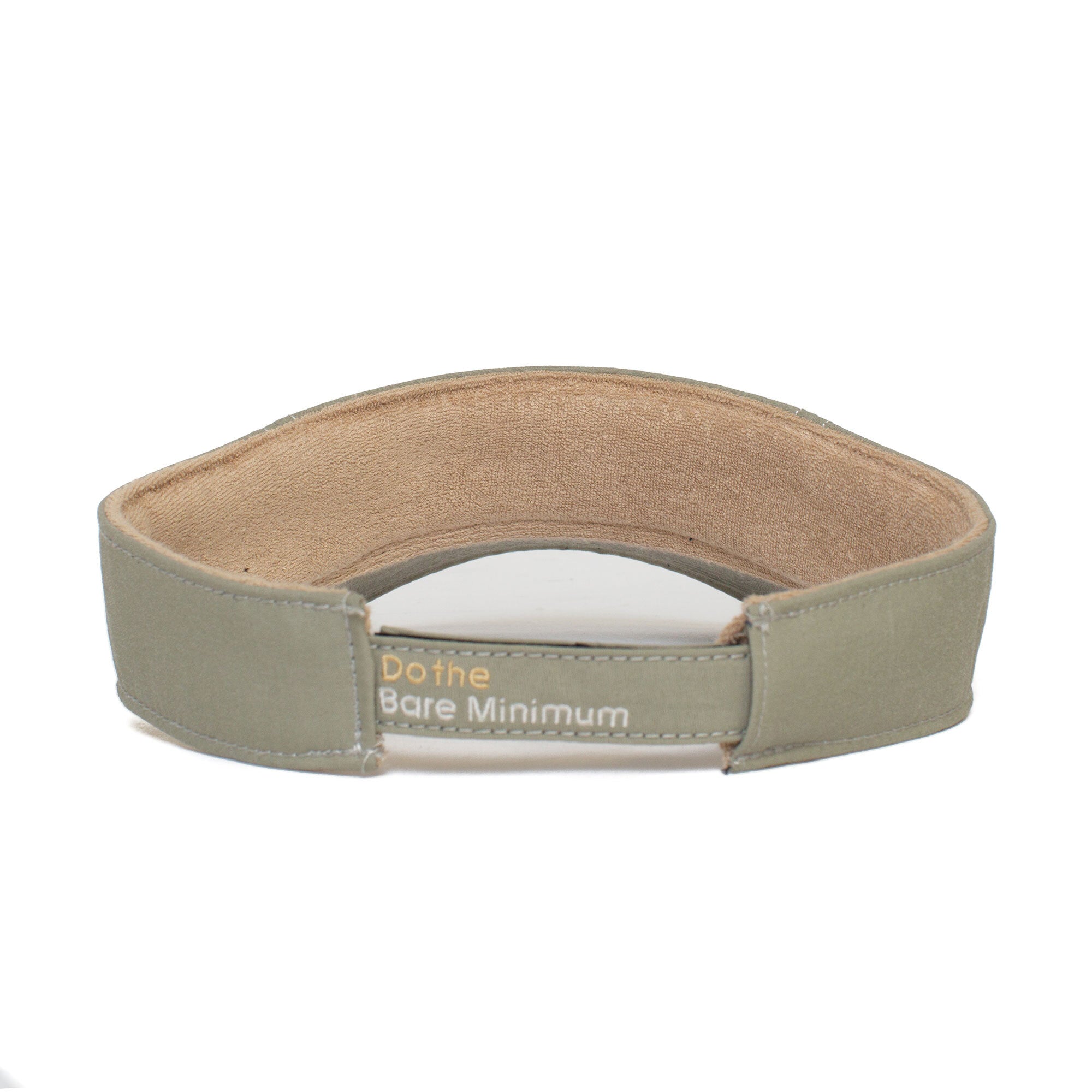 PSA Visor