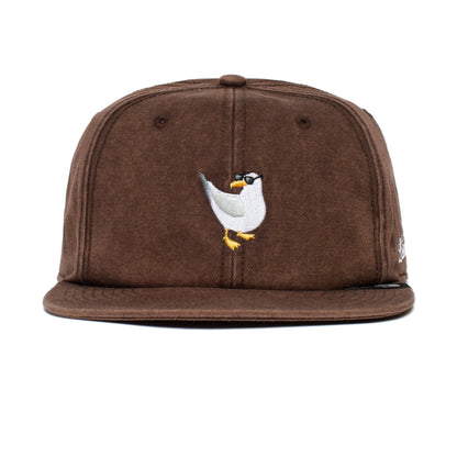 Bird Watcher