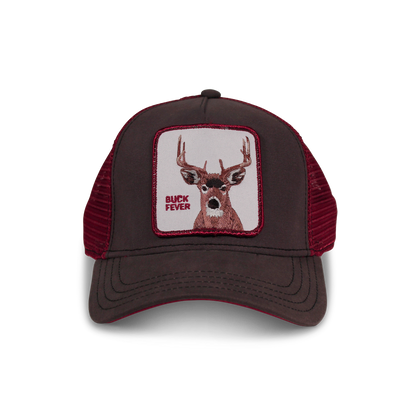 Goorin Bros. fever trucker baseball cap Back label Brown front view