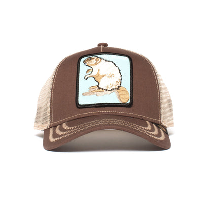 Goorin Bros. beaver cotton trucker baseball cap Brown front view