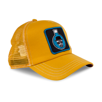 Goorin Bros. flask bball trucker baseball cap right side view