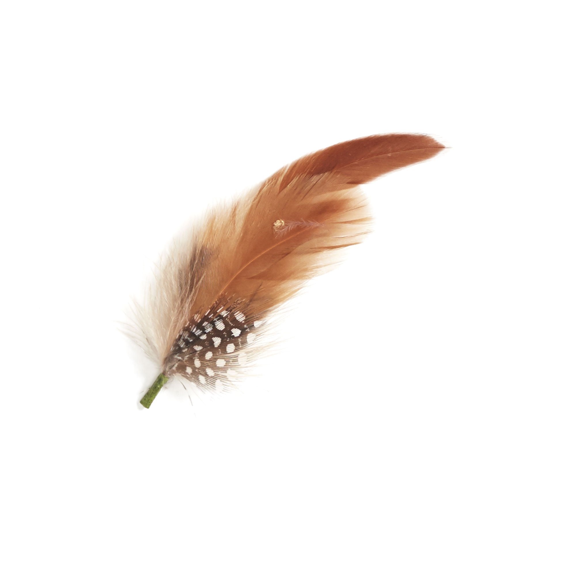Goorin Bros. nick that feather Brown front view