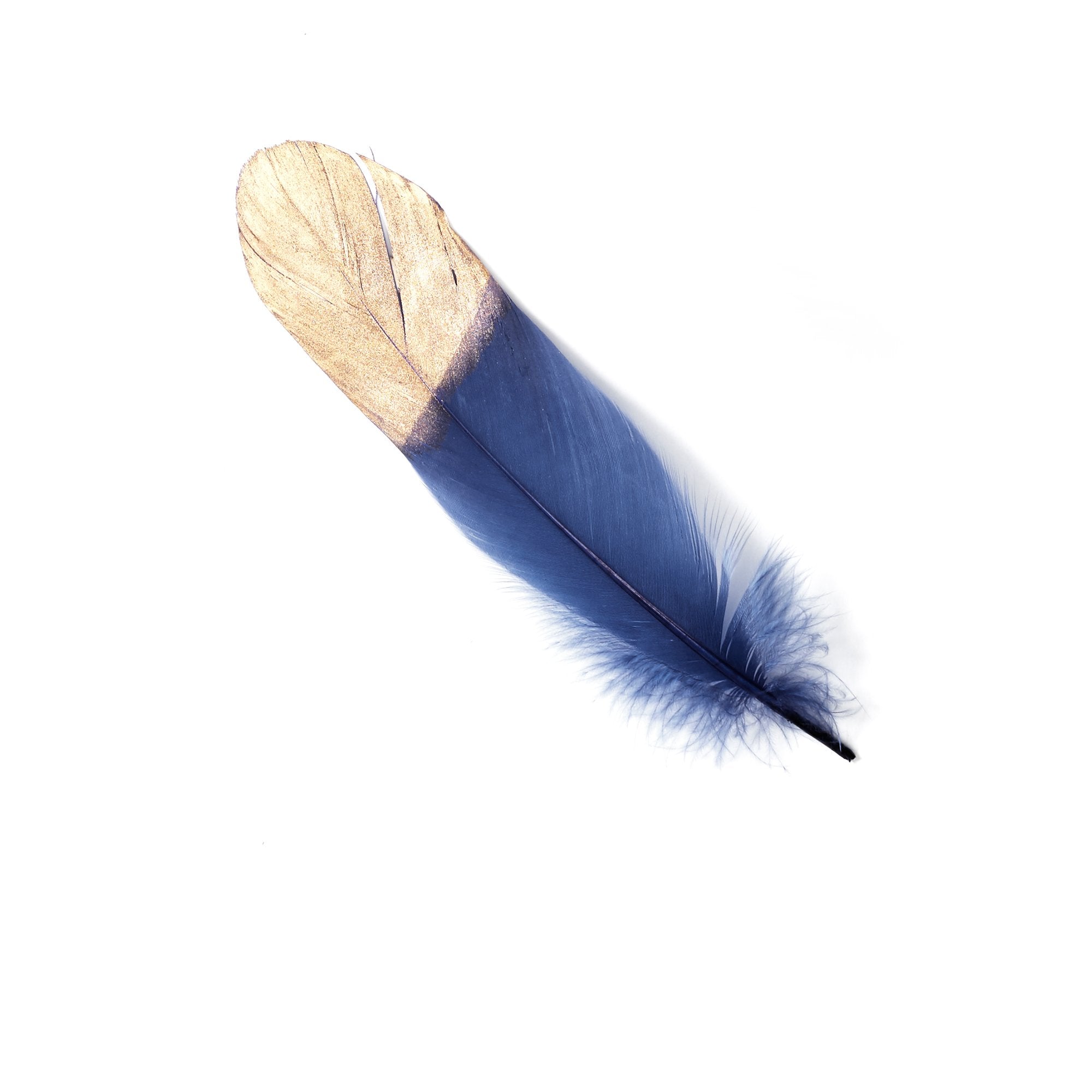 Goorin Bros. peep those feather Navy front view