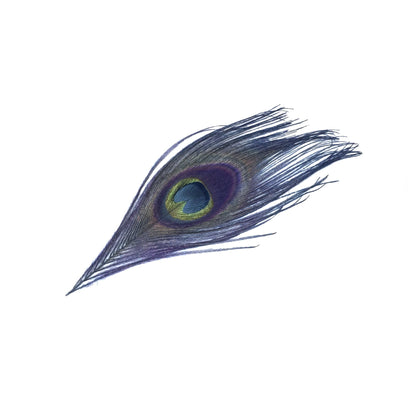 Goorin Bros. peacock party feather Navy front view