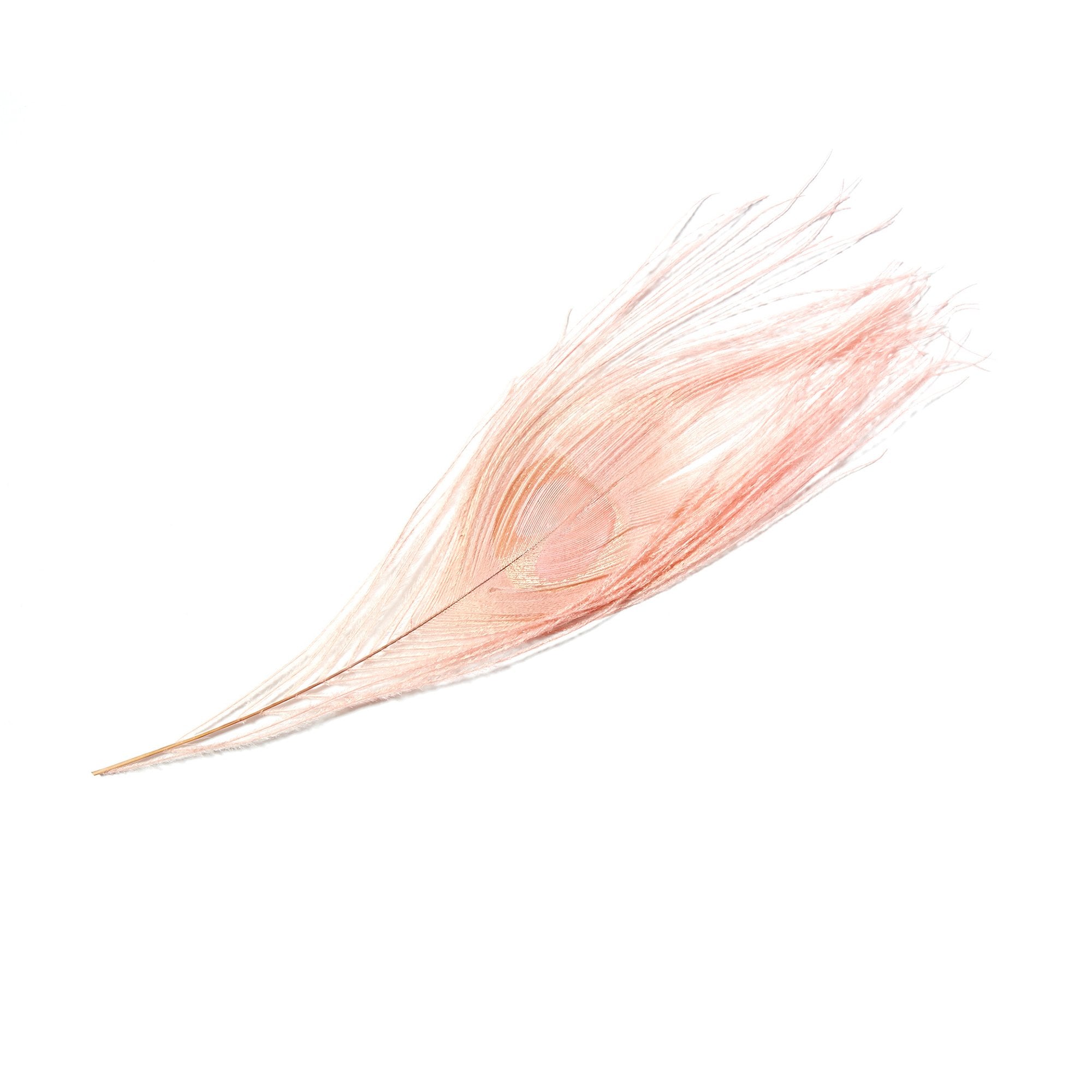 Goorin Bros. peacock party feather Pink front view