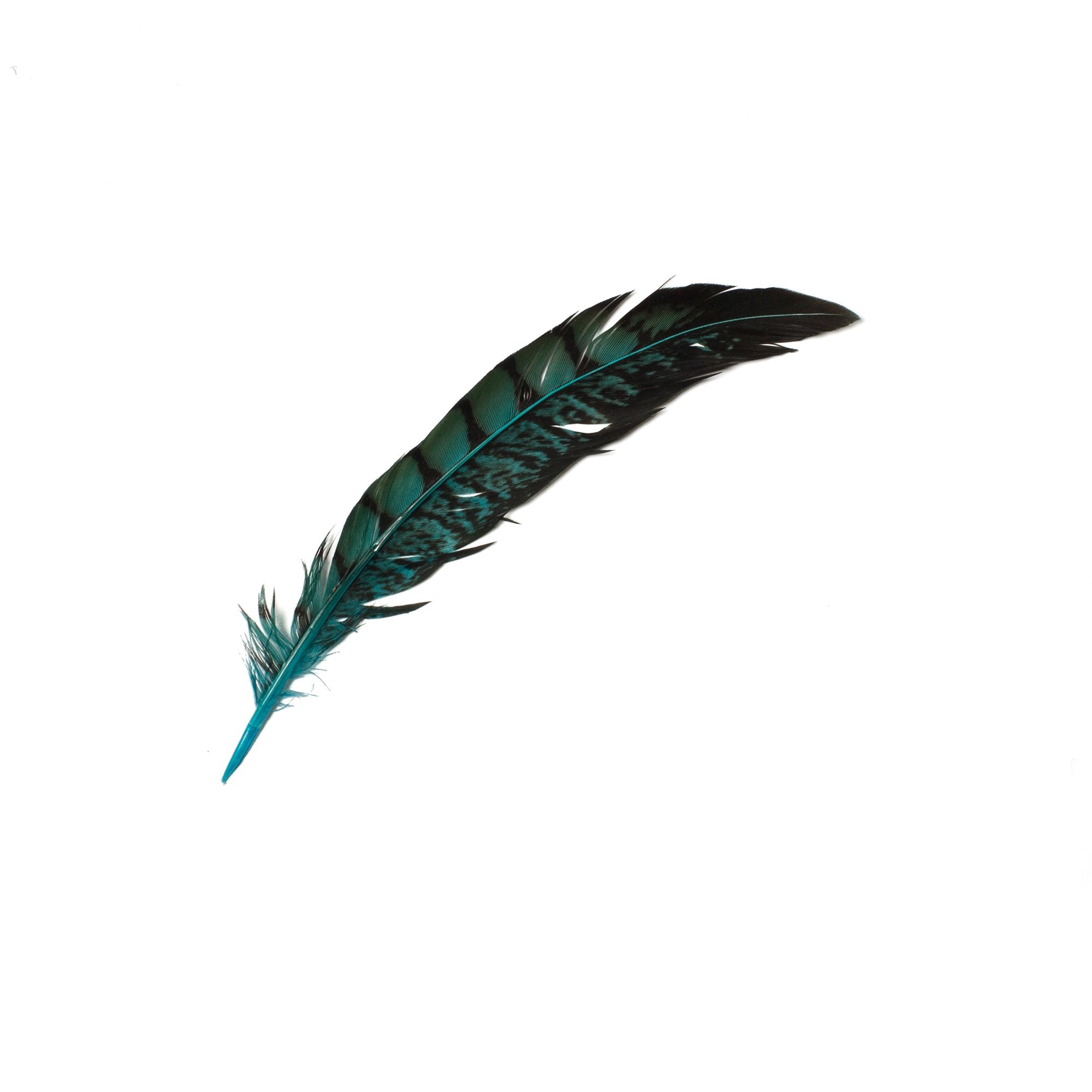 Goorin Bros. coco feather Teal front view